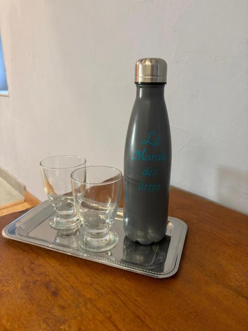 Le Marais Des Littes Apartment Chonas-l'Amballan Ngoại thất bức ảnh