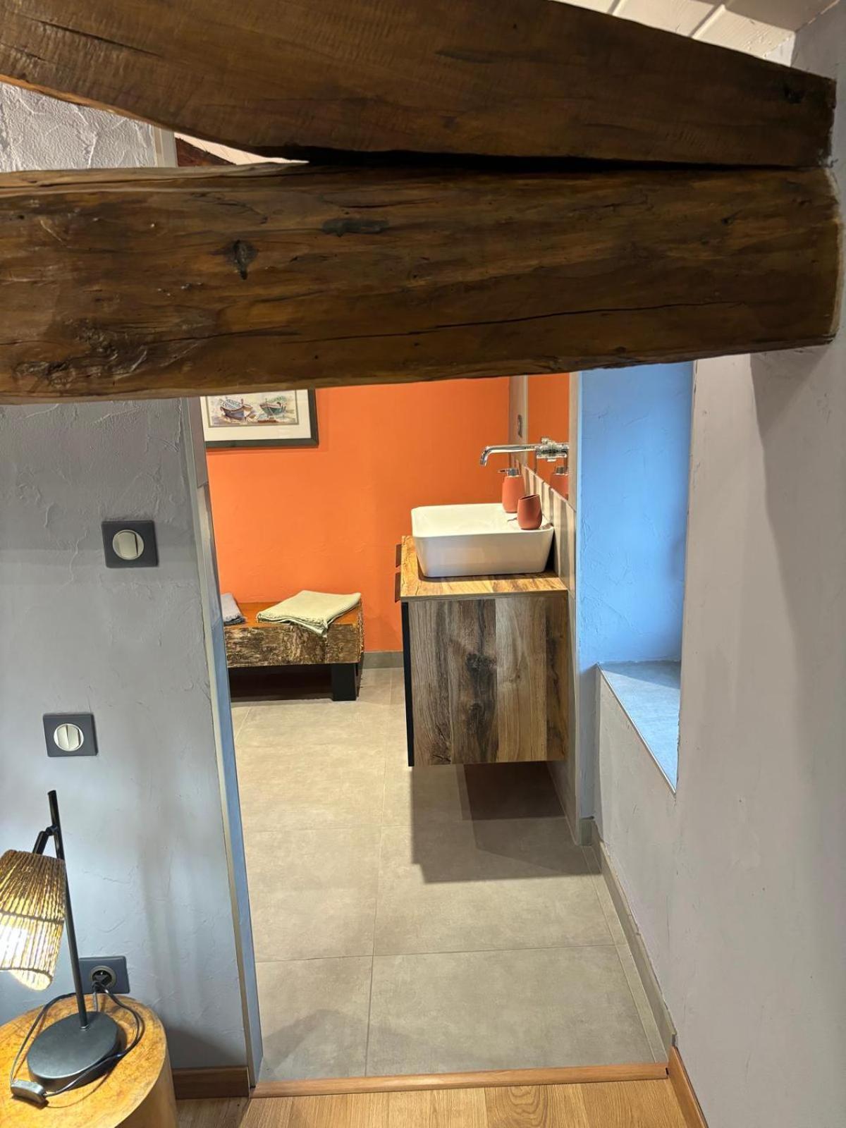 Le Marais Des Littes Apartment Chonas-l'Amballan Ngoại thất bức ảnh