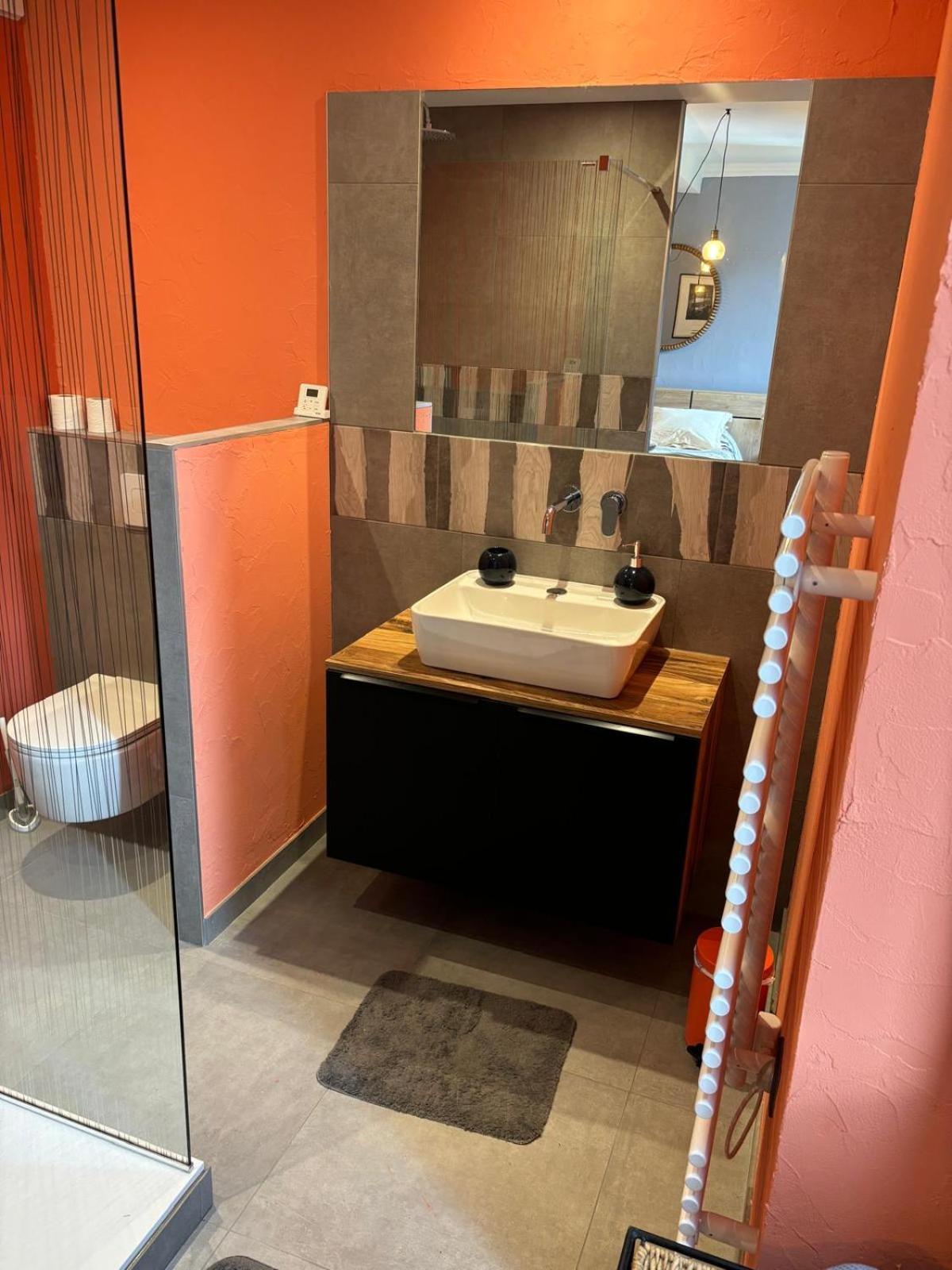 Le Marais Des Littes Apartment Chonas-l'Amballan Ngoại thất bức ảnh