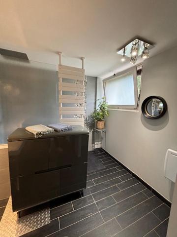 Le Marais Des Littes Apartment Chonas-l'Amballan Ngoại thất bức ảnh